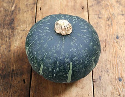 Zucca Delica, 1 pezzo (da 1.4 a 1.6kg)