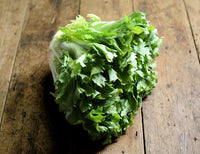 Insalata Lattuga Verde, 1 pezzo